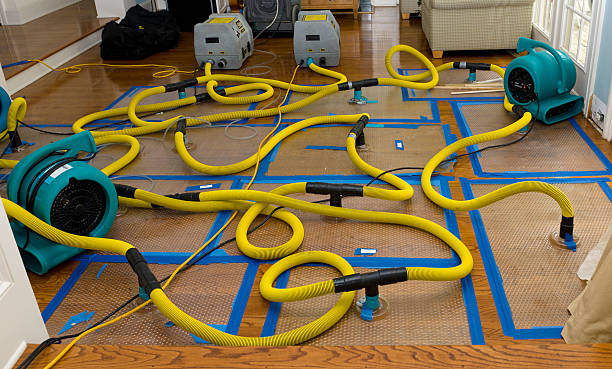 Professional Water Damage Repair technician working in Moraga, CA